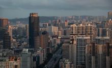 板樟山森林公园3