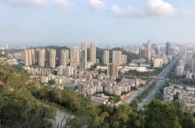 板樟山森林公园23