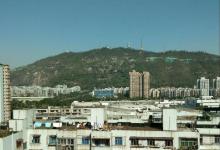 板樟山森林公园21