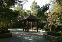 板樟山森林公园16