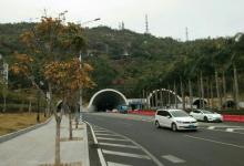 板樟山森林公园10