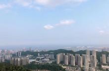 板樟山森林公园26