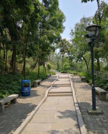 板樟山森林公园12