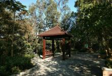 板樟山森林公园19