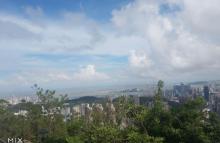 板樟山森林公园15