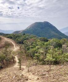 田心山3