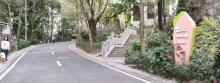 石岩大树林公园1