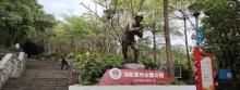 石岩大树林公园2