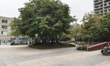 大浪消防文化主题公园3