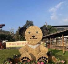 东莞市顺成农业科技生态园1