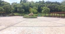 松岗红围公园1