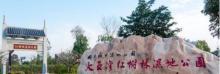 大亚湾红树林城市湿地公园2