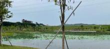 契爷石水库2