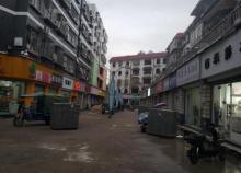 深圳坪地怡心商业步行街2