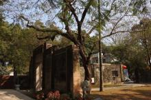 会同村12