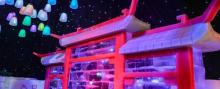 小凉帽飞雪乐园11
