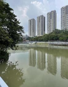 横岗人民公园13