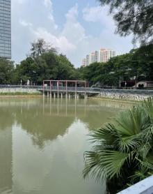 横岗人民公园8
