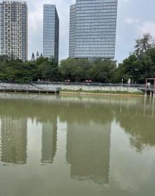 横岗人民公园14