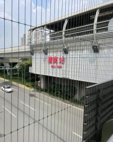 横岗人民公园5