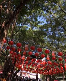 芙蓉寺8