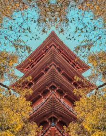芙蓉寺2