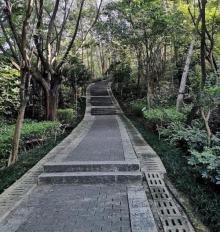 黄金山公园1