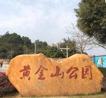 黄金山公园3