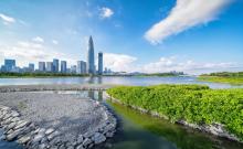 深圳湾公园-C区1