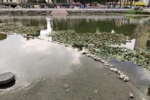 燕川村4