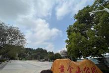 黄金山公园-西广场1