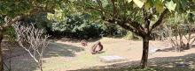 向日葵公园5