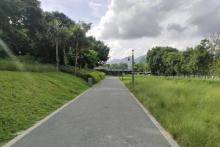麒麟山疗养院老林果场3