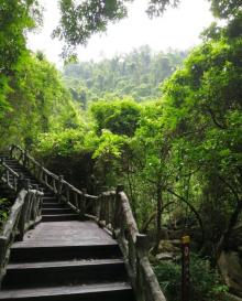 清溪森林公园5