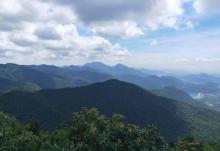 清溪森林公园4
