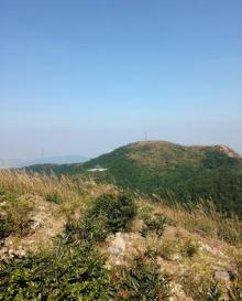 清溪森林公园6