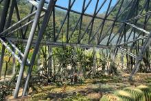 沙漠植物区2