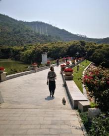 荔林公园2