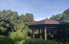 荔林公园7