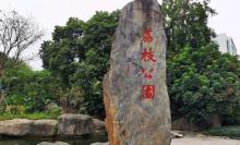 蛇口荔枝公园7