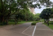 深圳中心公园-C2区3