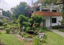 深圳大学北校区花圃4