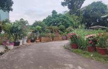 深圳大学北校区花圃2