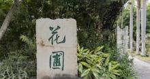 深圳大学北校区花圃5