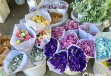 南山花卉世界1