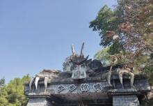 塘厦观光公园8