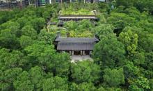 般若禅寺3