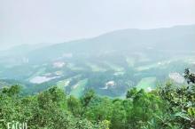 大屏障森林公园6