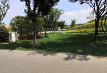荔香公园7