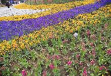 荔香公园8